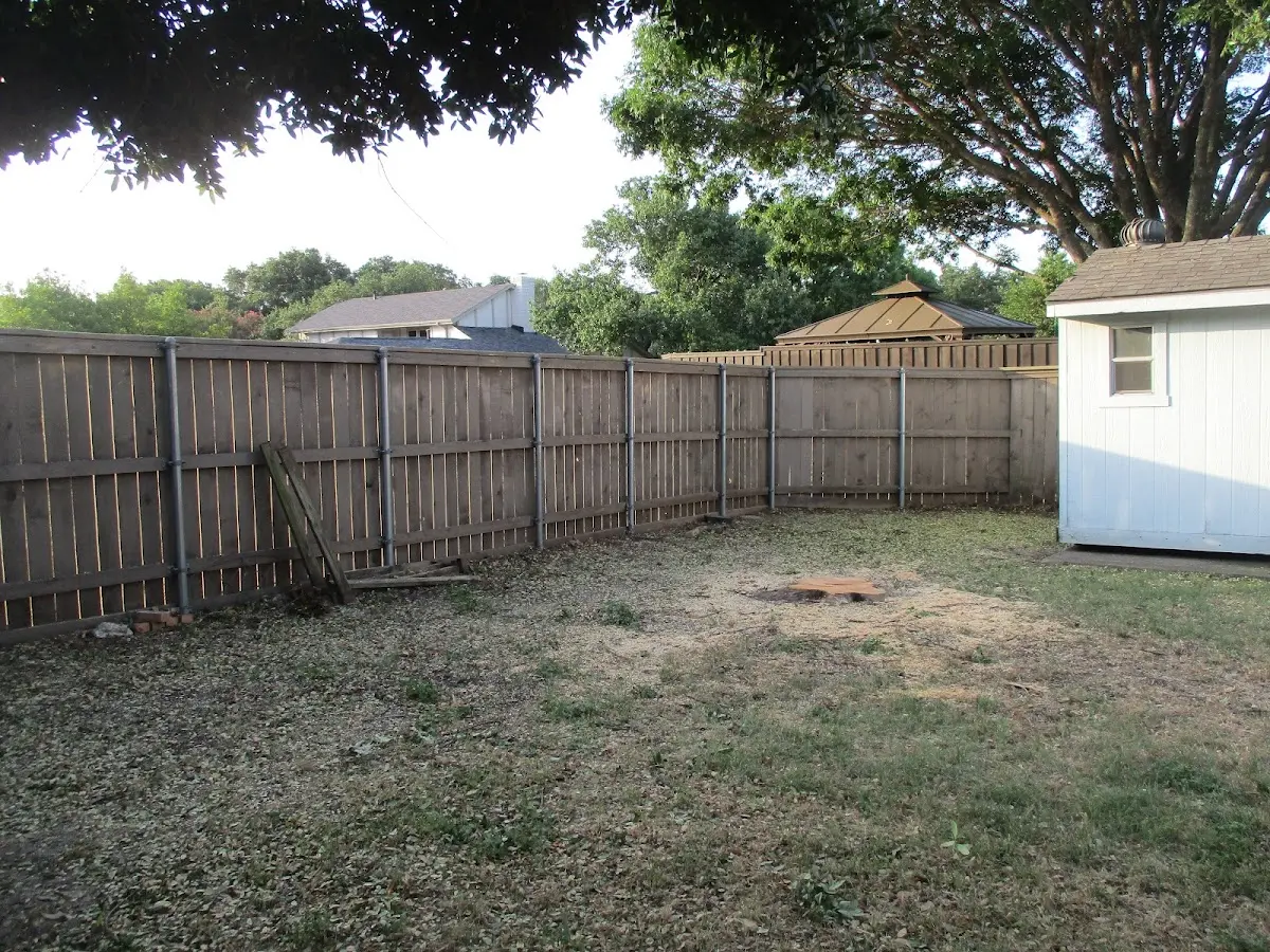 Cleared yard after professional tree removal in Santa Rosa Beach