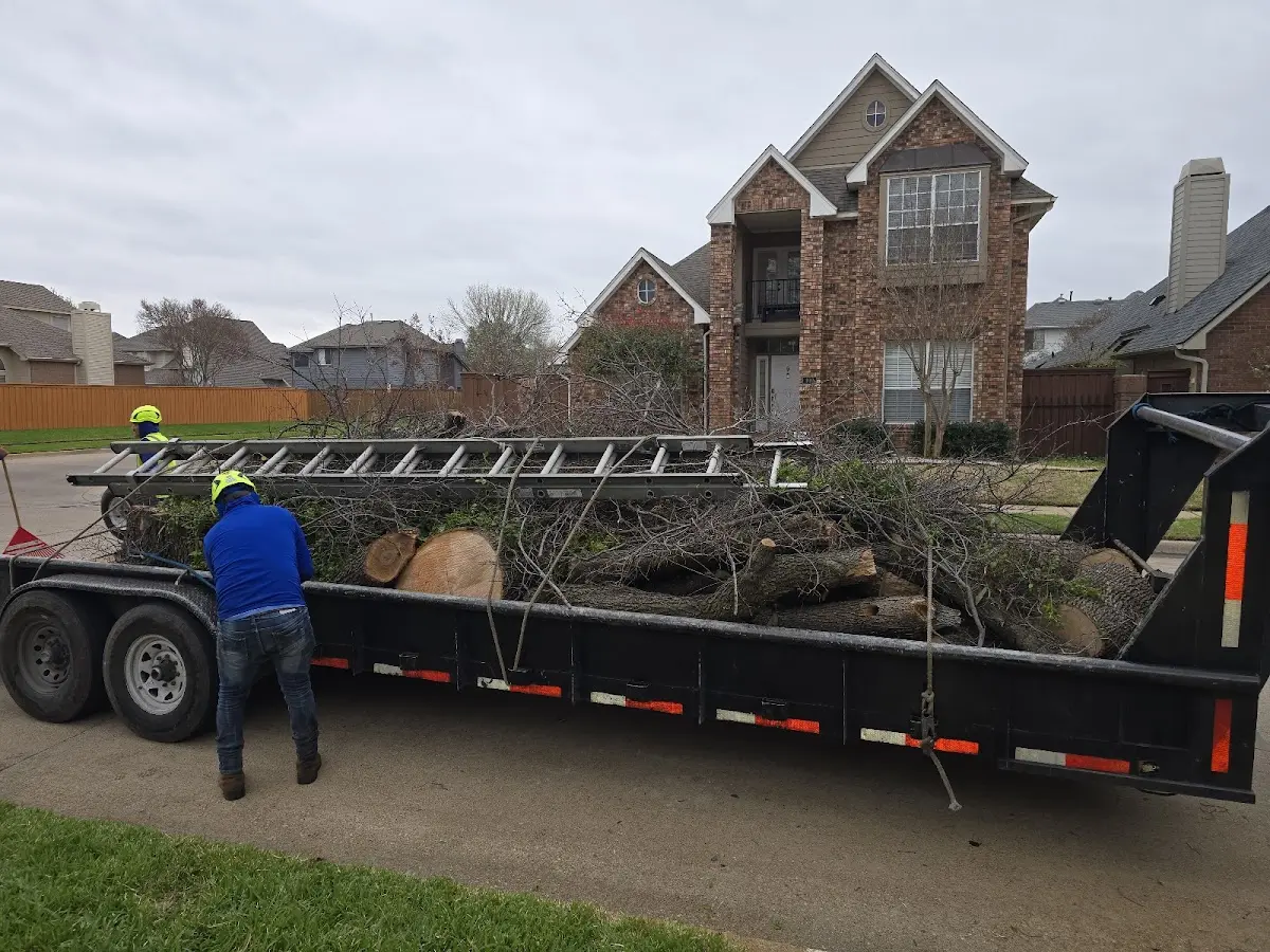 Expert Tree Fertilization with proper safety equipment in Santa Rosa Beach